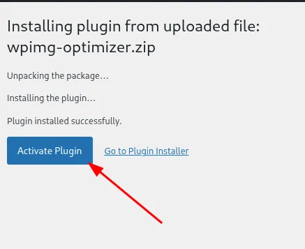 WordPress Activate Plugin button